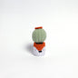 Irresistibly Cute Crochet Cactus Family – Lovable Succulent Amigurumi Plush Collection