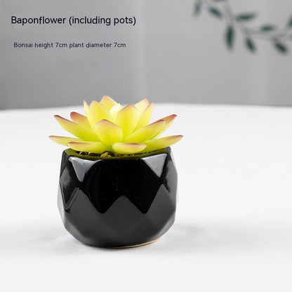 Artificial Green Plant Succulent
