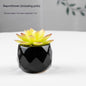Artificial Green Plant Succulent