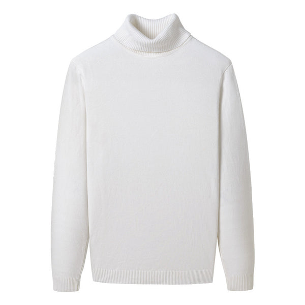 Pull Col Roulé Homme