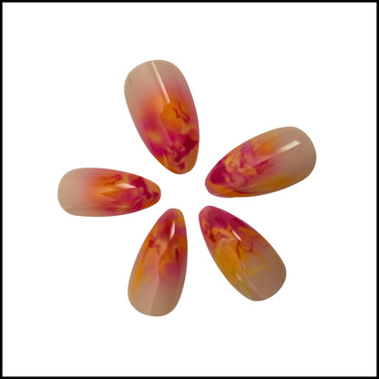 Flexies - Solar Flare