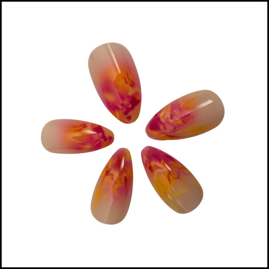 Flexies - Solar Flare