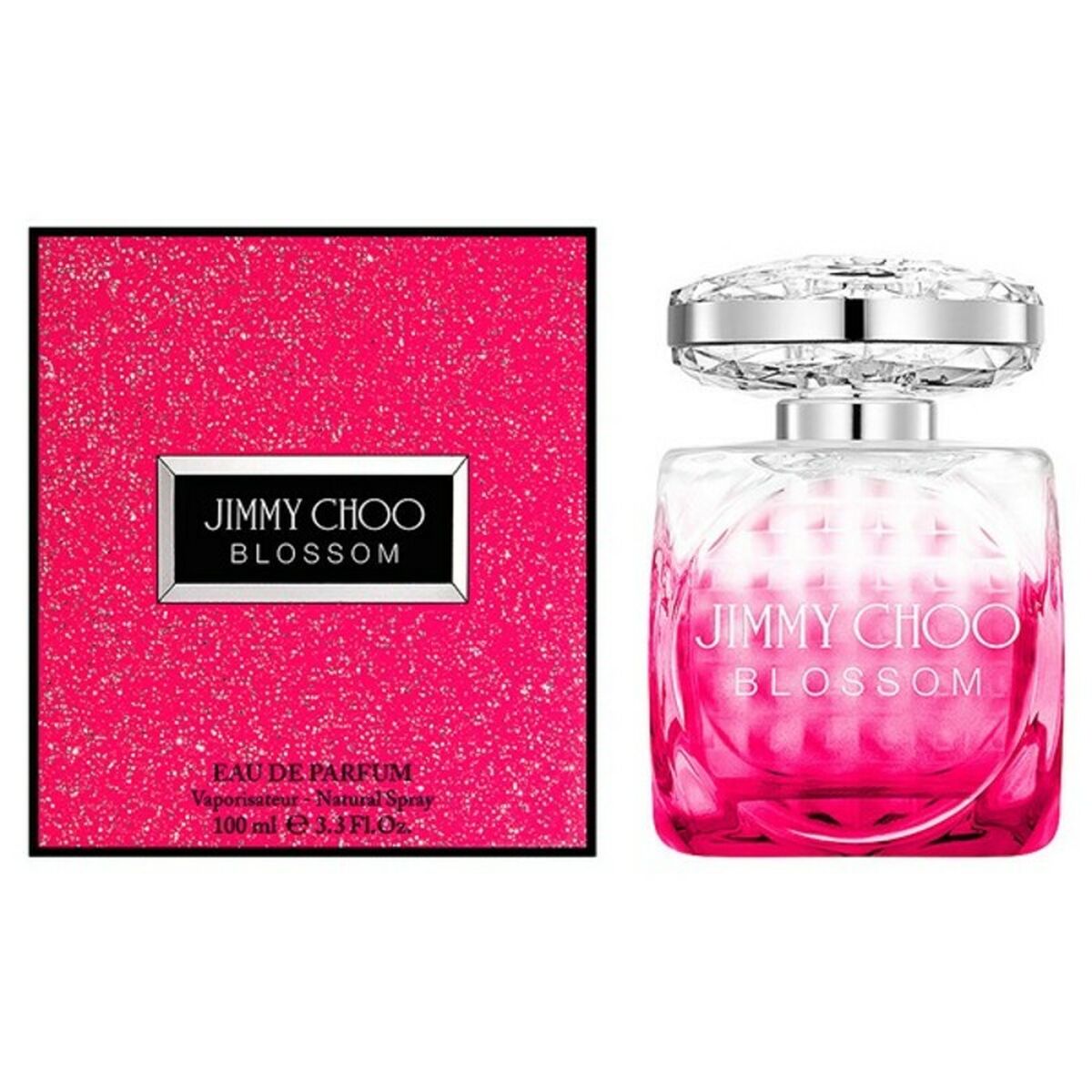 Women's Perfume Jimmy Choo 4291902 EDP 100 ml