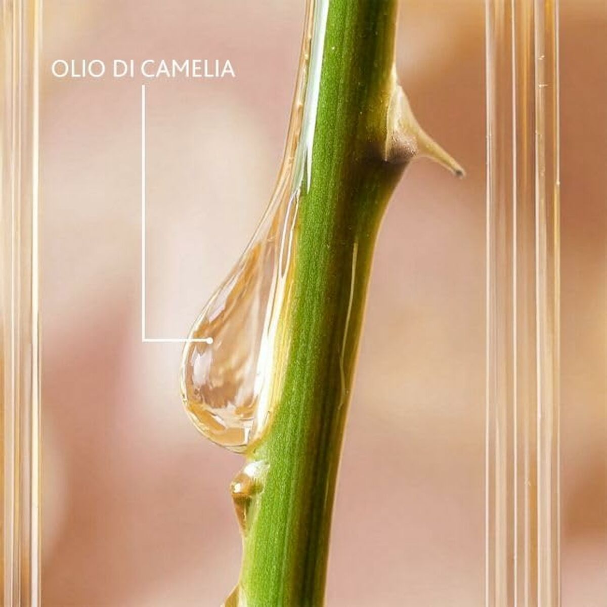 Facial Serum Institut Esthederm EXCELLAGE 30 ml