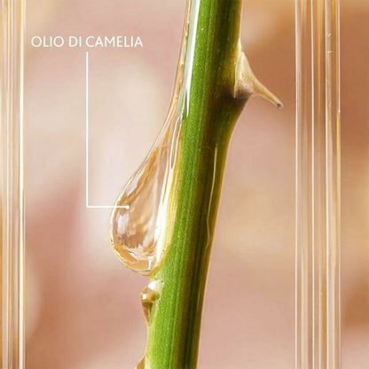 Facial Serum Institut Esthederm EXCELLAGE 30 ml