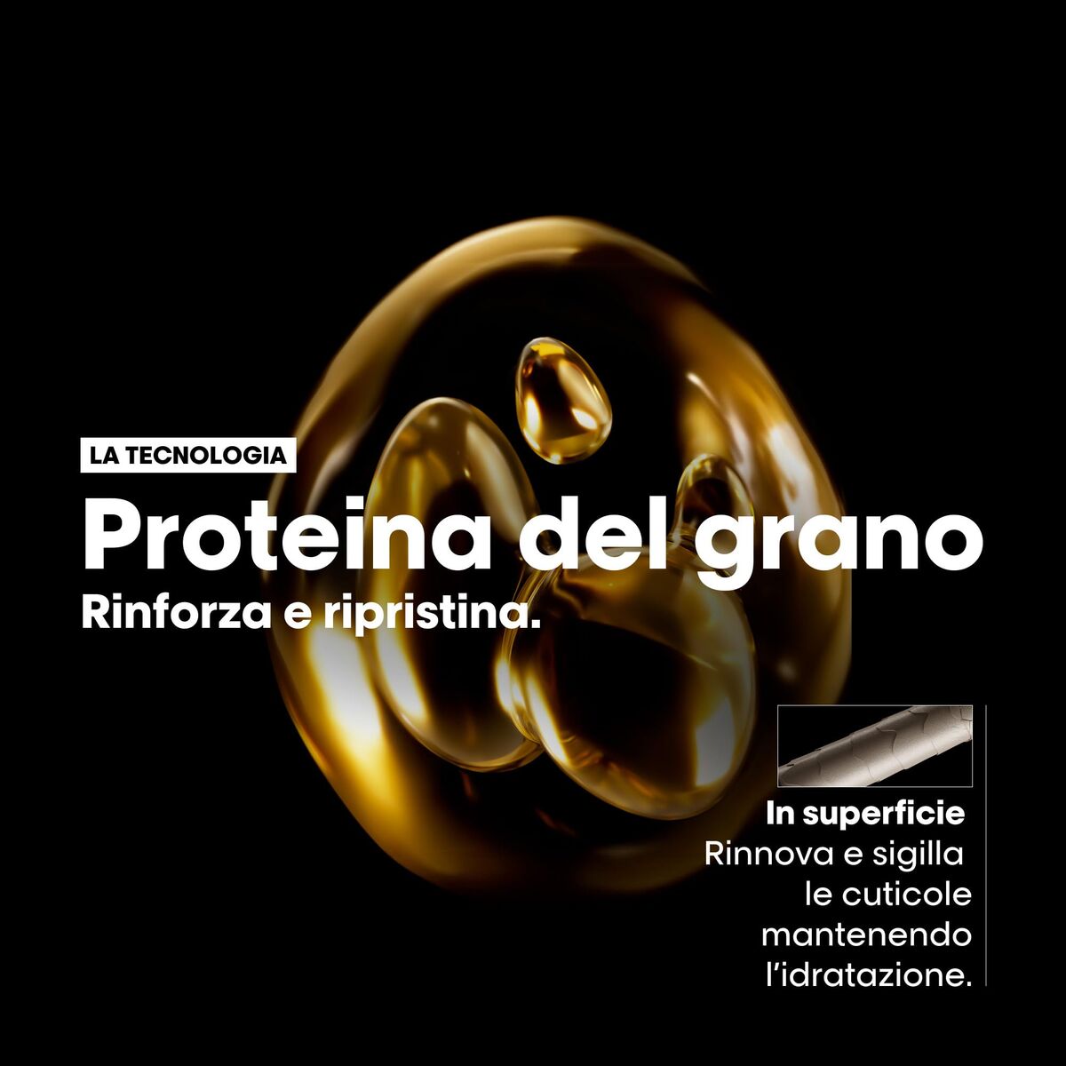 Hair Dressing Set L'Oreal Professionnel Paris ABSOLUT REPAIR 2 Pieces