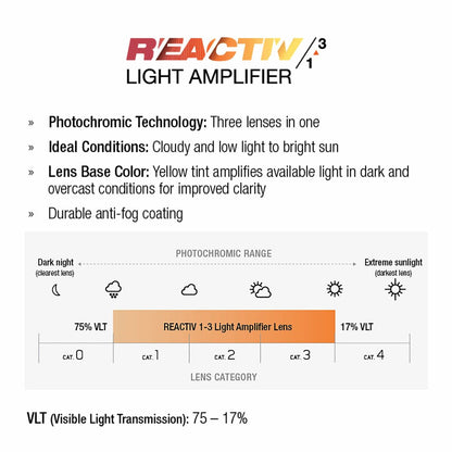 Sunglasses Julbo DENSITY Black