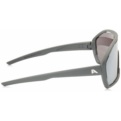 Men's Sunglasses Alpina A8687321