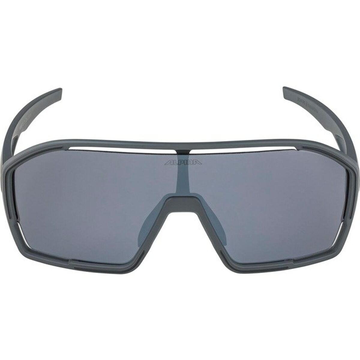 Men's Sunglasses Alpina A8687321