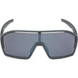 Men's Sunglasses Alpina A8687321