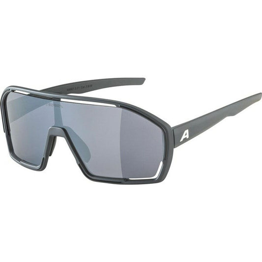 Men's Sunglasses Alpina A8687321