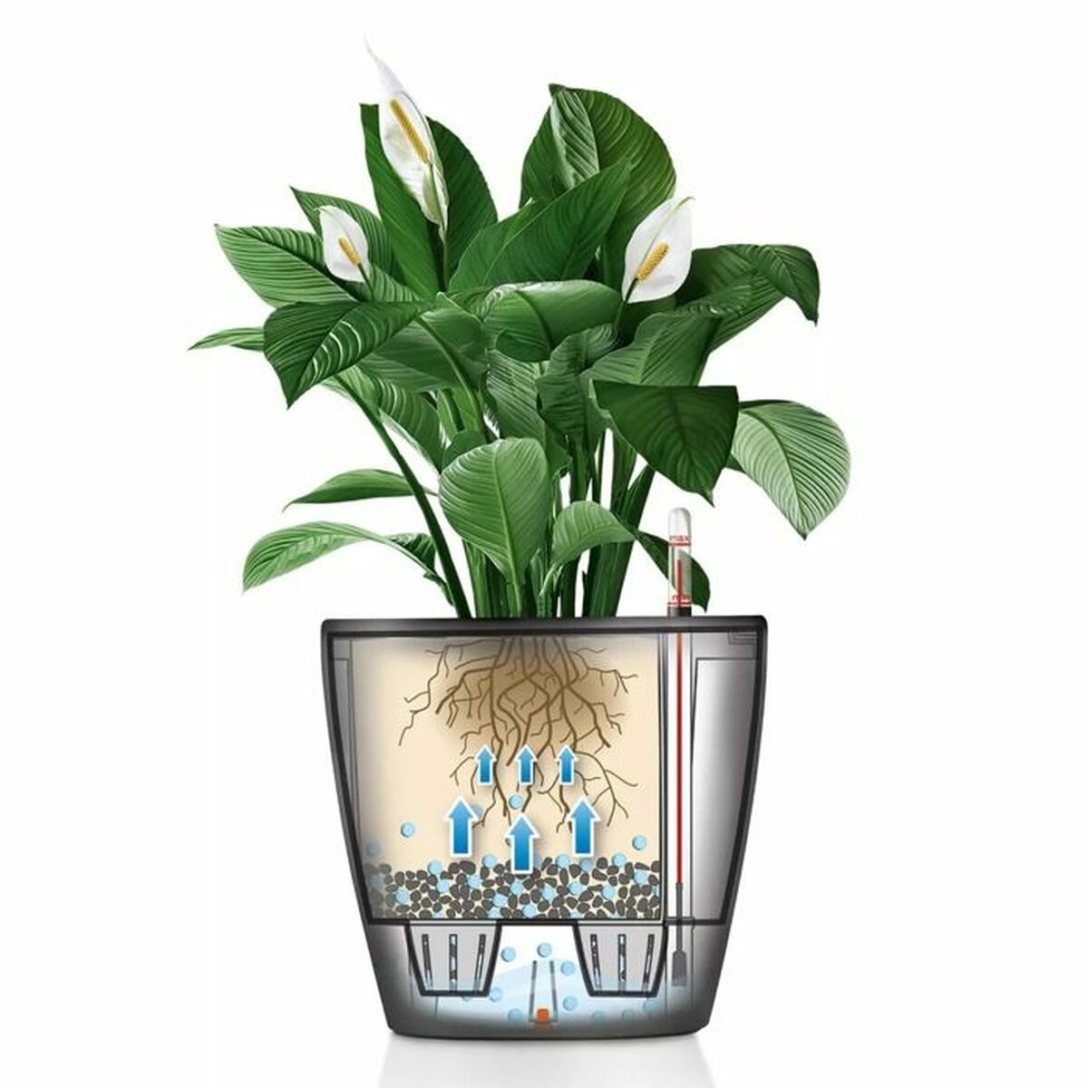 Plant pot Lechuza