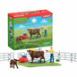 Playset Schleich