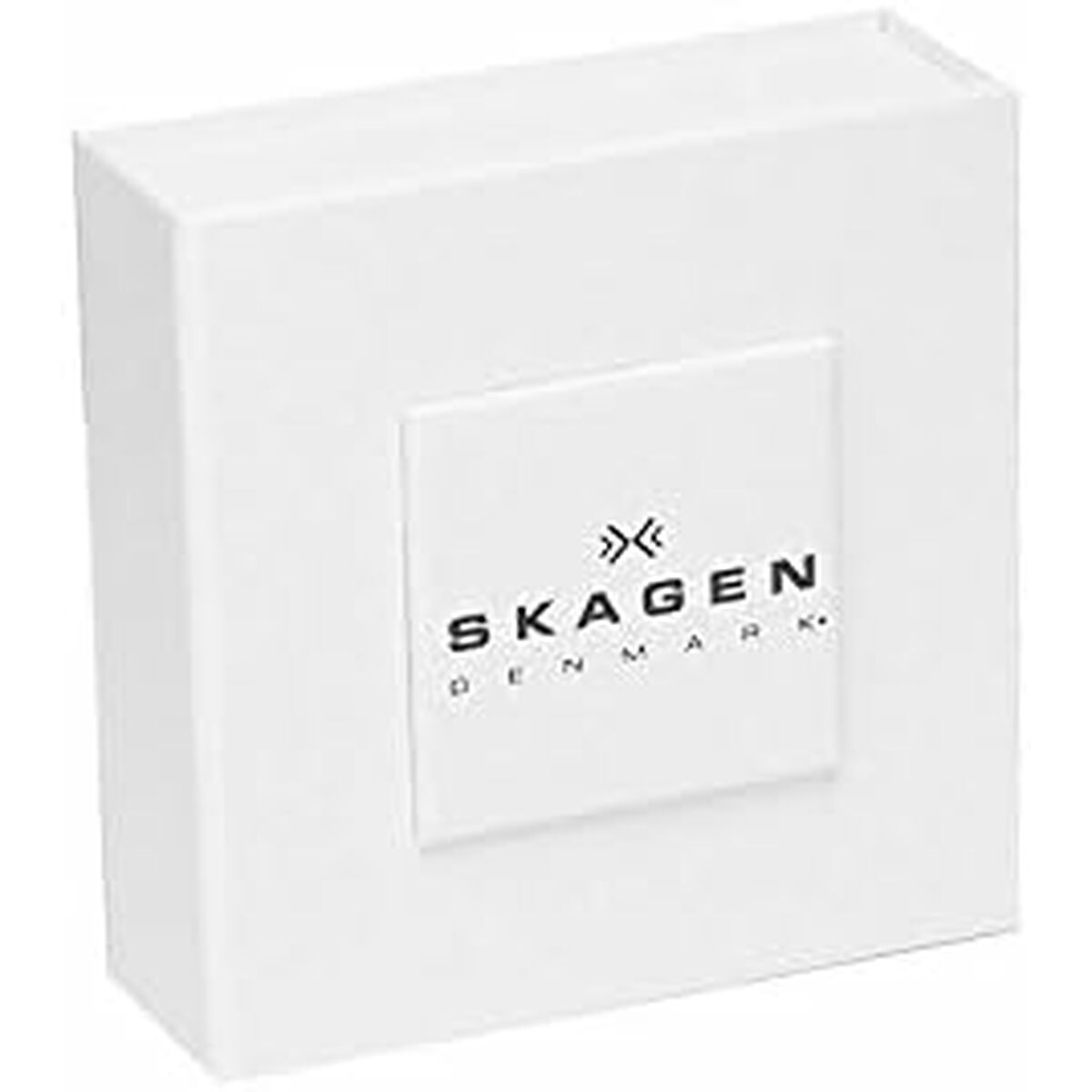 Ladies' Bracelet Skagen SKJ1678998 Golden
