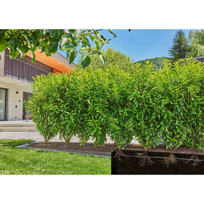 Drip watering system Gardena 13501-20