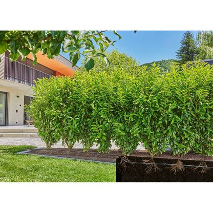 Drip watering system Gardena 13501-20