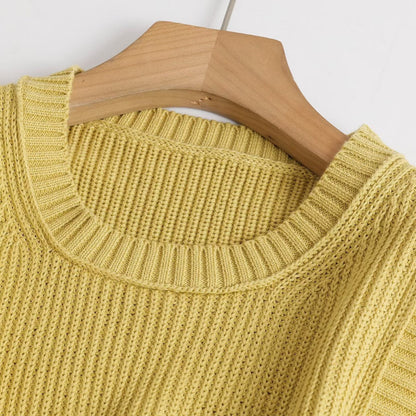 Women's Round Neck Slim Fit Sleeveless Knit Top