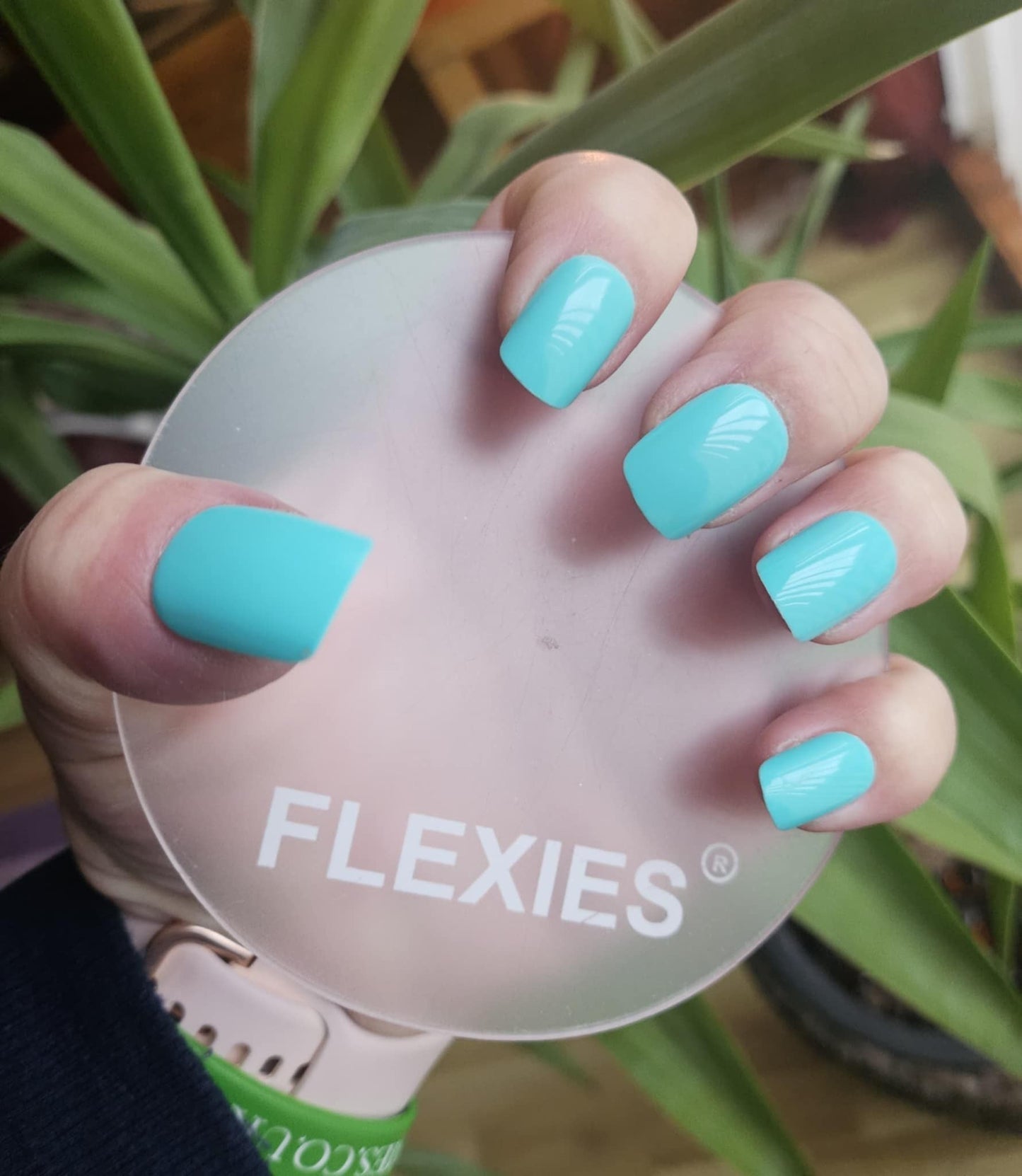 BOGOF Flexies 'Everyday'