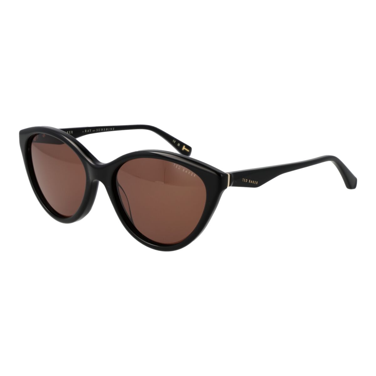 Ladies' Sunglasses Ted Baker TB1735 56001