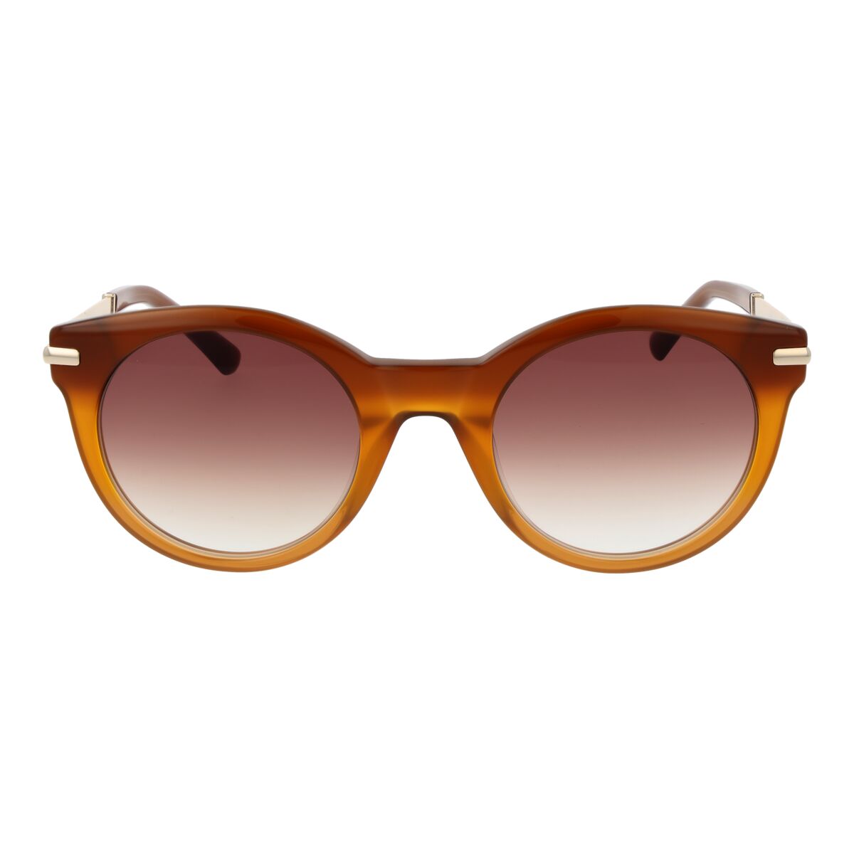 Ladies' Sunglasses Sandro Paris SD6049 51104