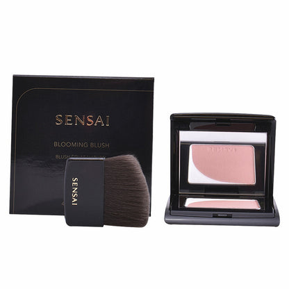 Blush Kanebo 4 g