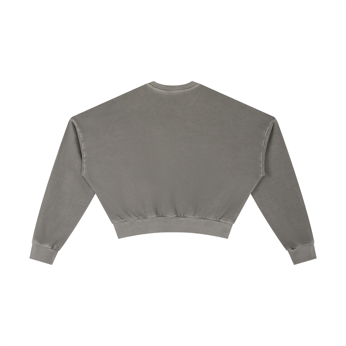 Waran Vintage Washed Cropped Sweatshirt