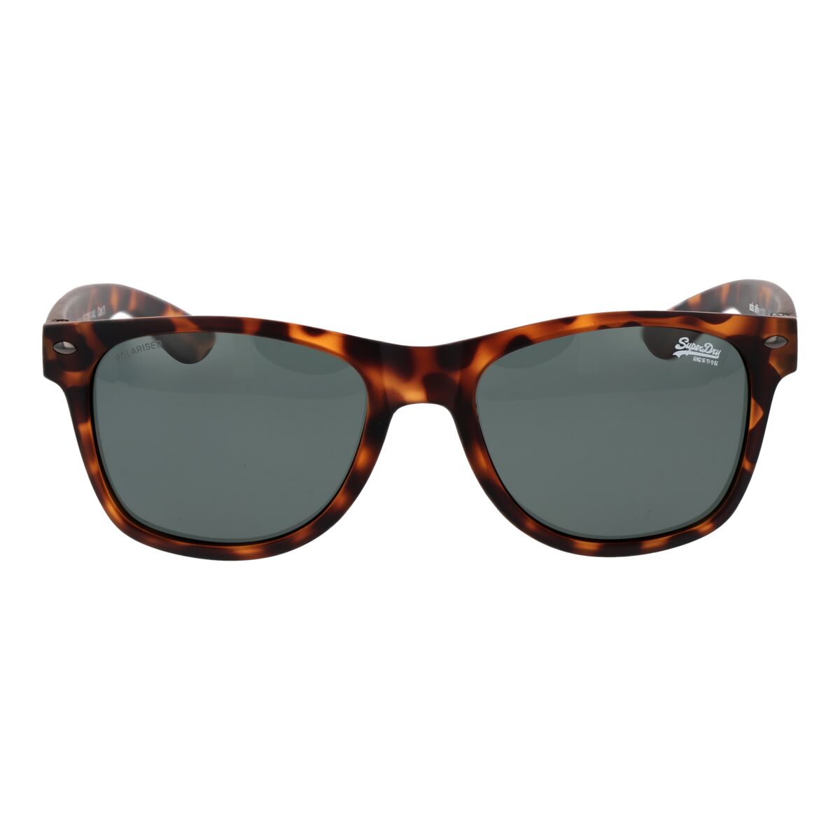 Men's Sunglasses Superdry SDS-ALFIE 55102P