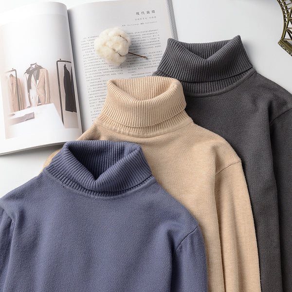 Pull Col Roulé Homme
