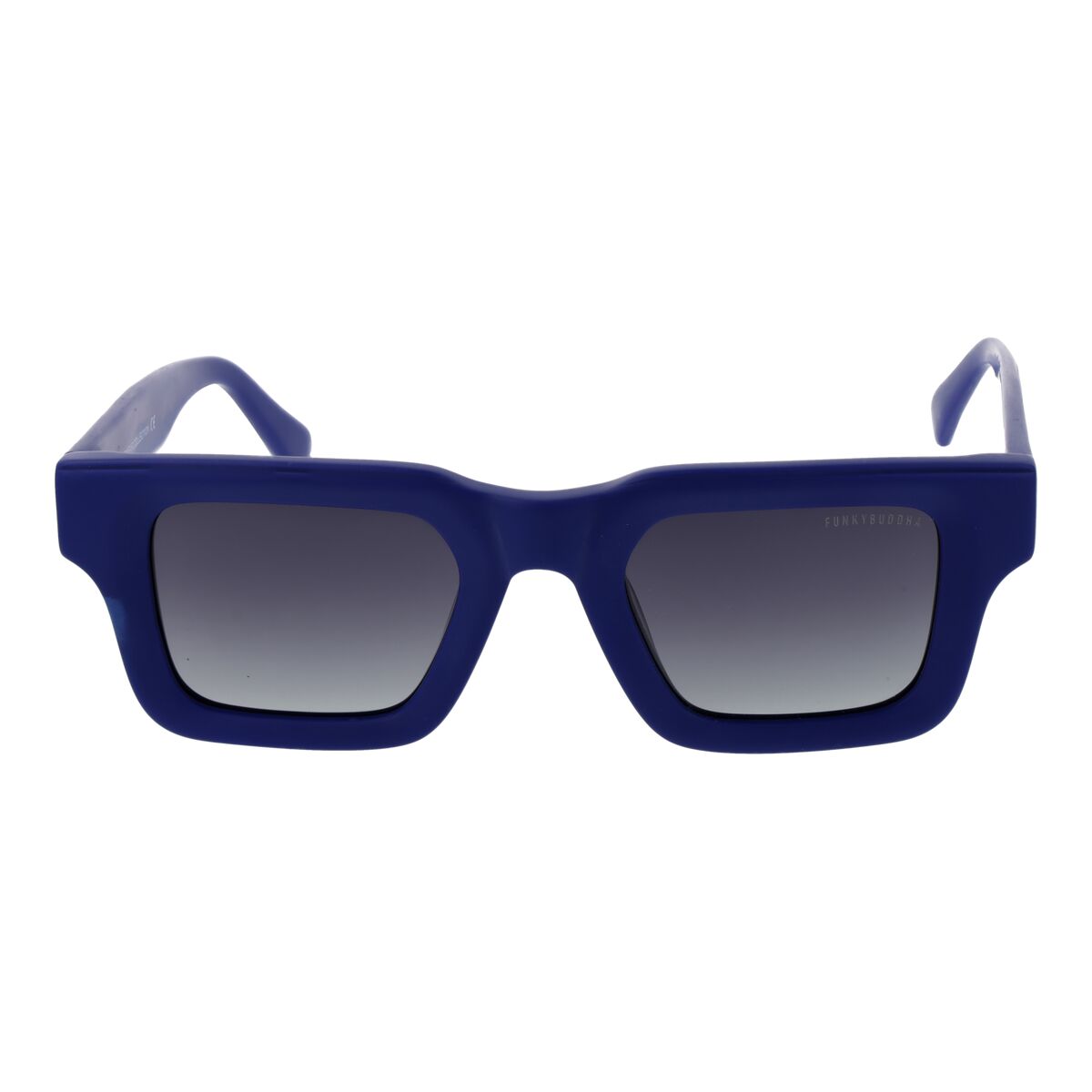 Ladies' Sunglasses Funky Buddha FBS2041 48001