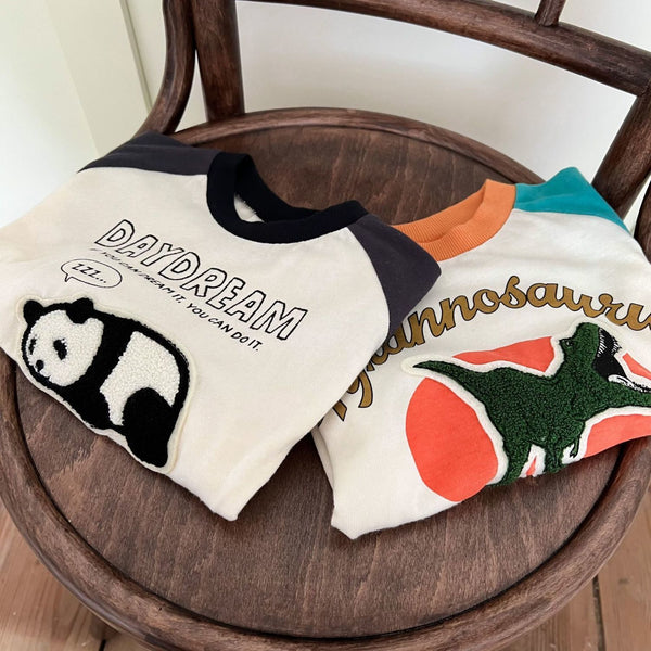 Boys Cotton Long Sleeve T-Shirt