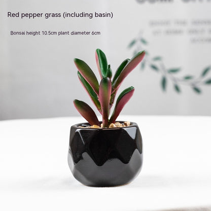 Artificial Green Plant Succulent