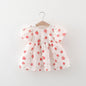 Baby Girl Puff Sleeve Dress