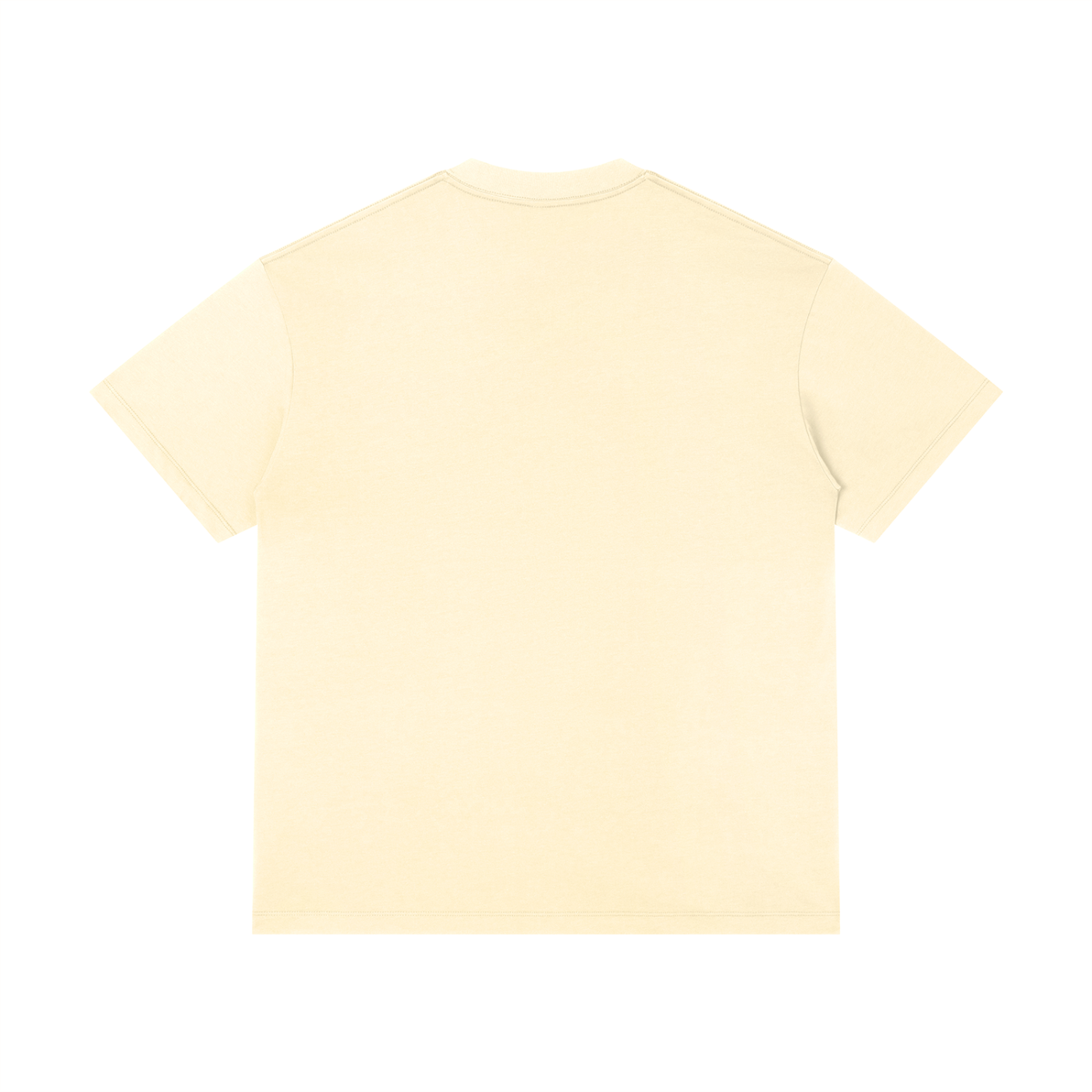 Unisex Regular Fit Crewneck T-Shirt