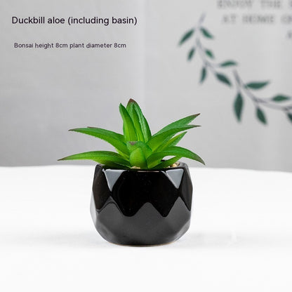 Artificial Green Plant Succulent