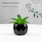 Artificial Green Plant Succulent