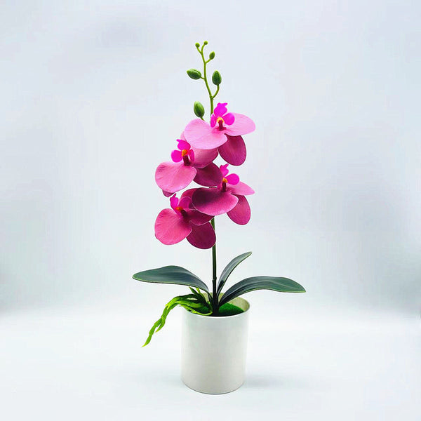 Simulated Bonsai Artificial Flower Bonsai Simulated Butterfly Orchid - Stuffs & Savers