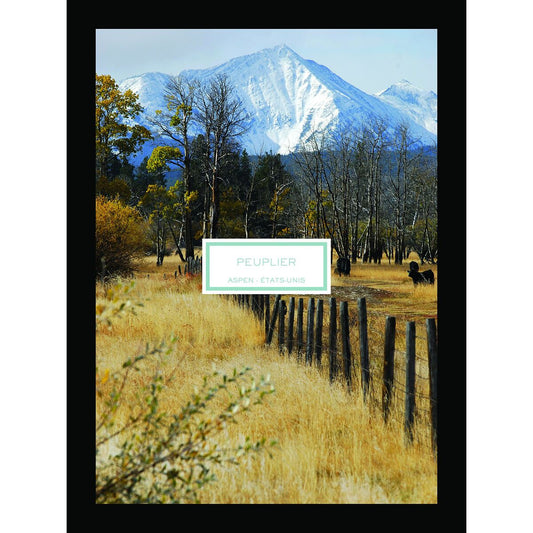 Scented Candle Lalique