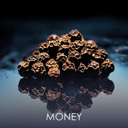 Men's Perfume PHILIPP PLEIN NO LIMITS EDP 90 ml