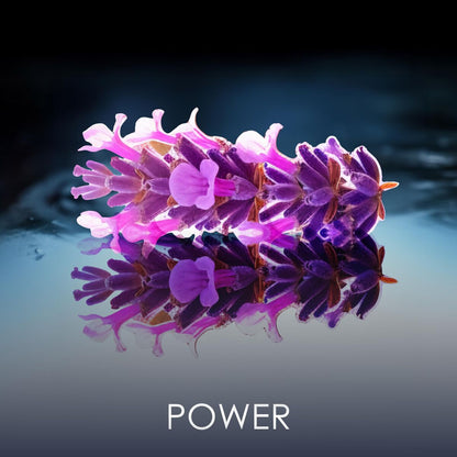 Men's Perfume PHILIPP PLEIN NO LIMITS EDP 90 ml