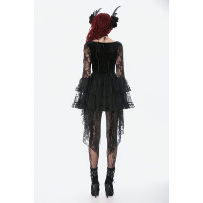 Dark in Love Classic Gothic Velvet & Lace Embroidered Dress
