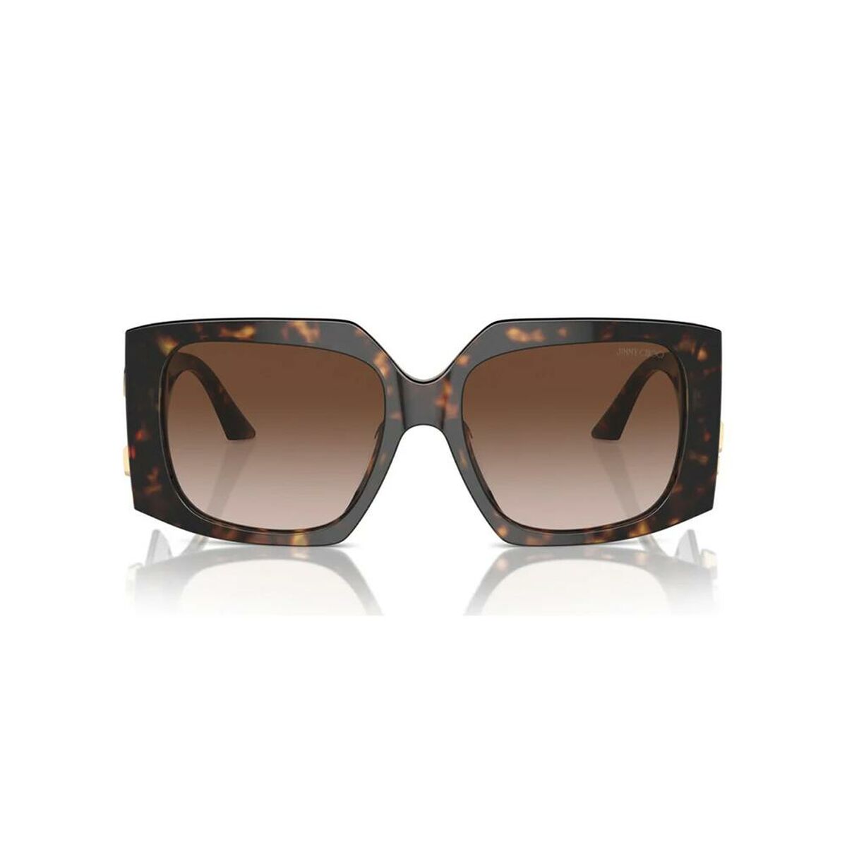 Ladies' Sunglasses Jimmy Choo JC 5006U