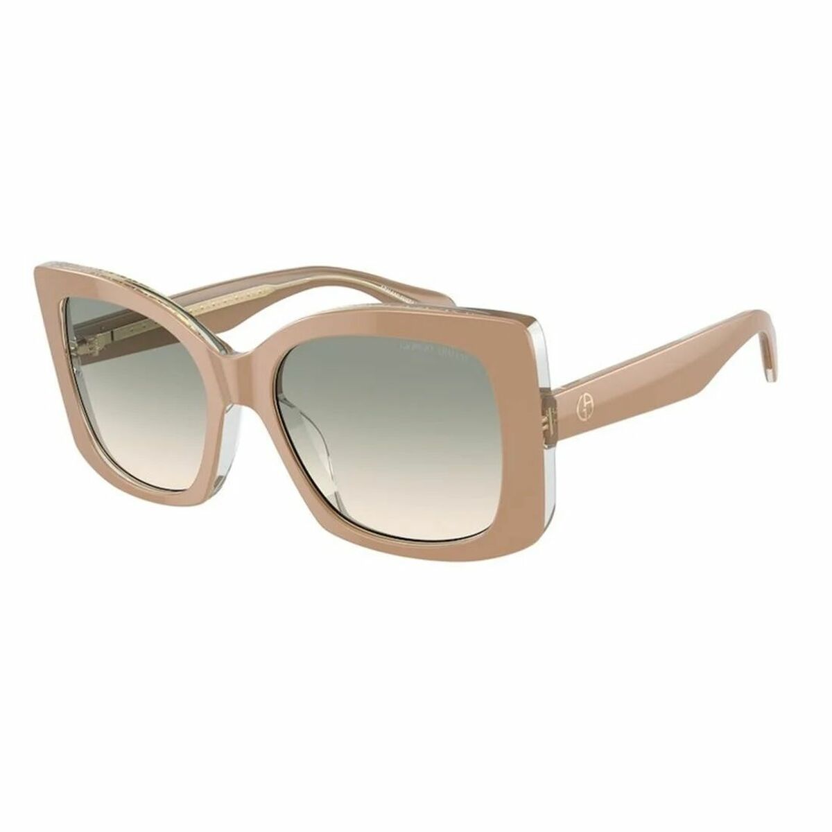 Ladies' Sunglasses Armani AR8208U-60912C Ø 55 mm