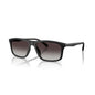 Men's Sunglasses Emporio Armani EA 4257U
