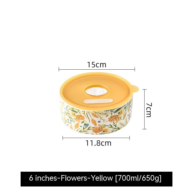 Portable box With Cover Ceramic Bowl