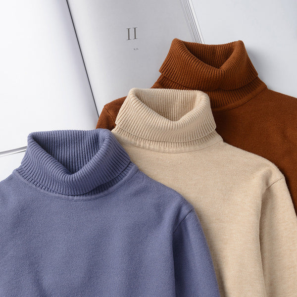 Pull Col Roulé Homme