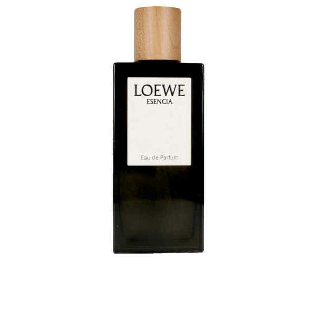 Men's Perfume Loewe E001-21P-022987 100 ml