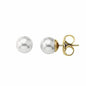Ladies' Earrings Majorica 00328.01.1.000.701.1