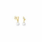Ladies' Earrings Majorica 12850.01.1.000.010.1