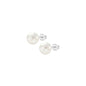 Ladies' Earrings Lotus WS00001/10