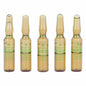 Ampoules Endocare Tensage 2 ml